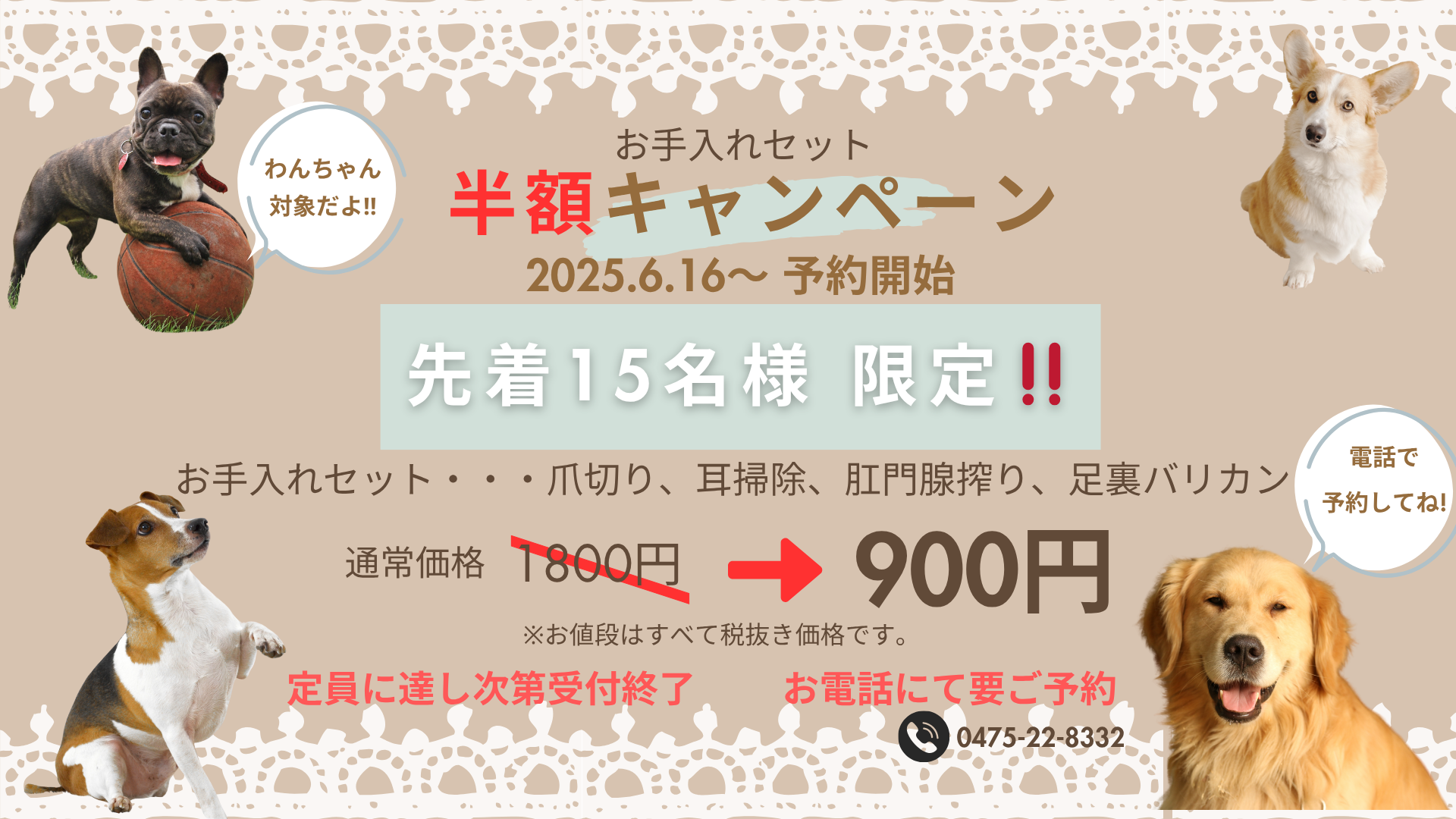 お手入れセット半額キャンペーン