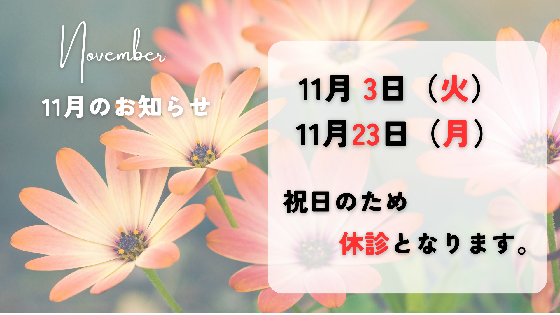 2026年11月の休診日のお知らせ　11月3日（火）・11月23日（月）は祝日のため休診