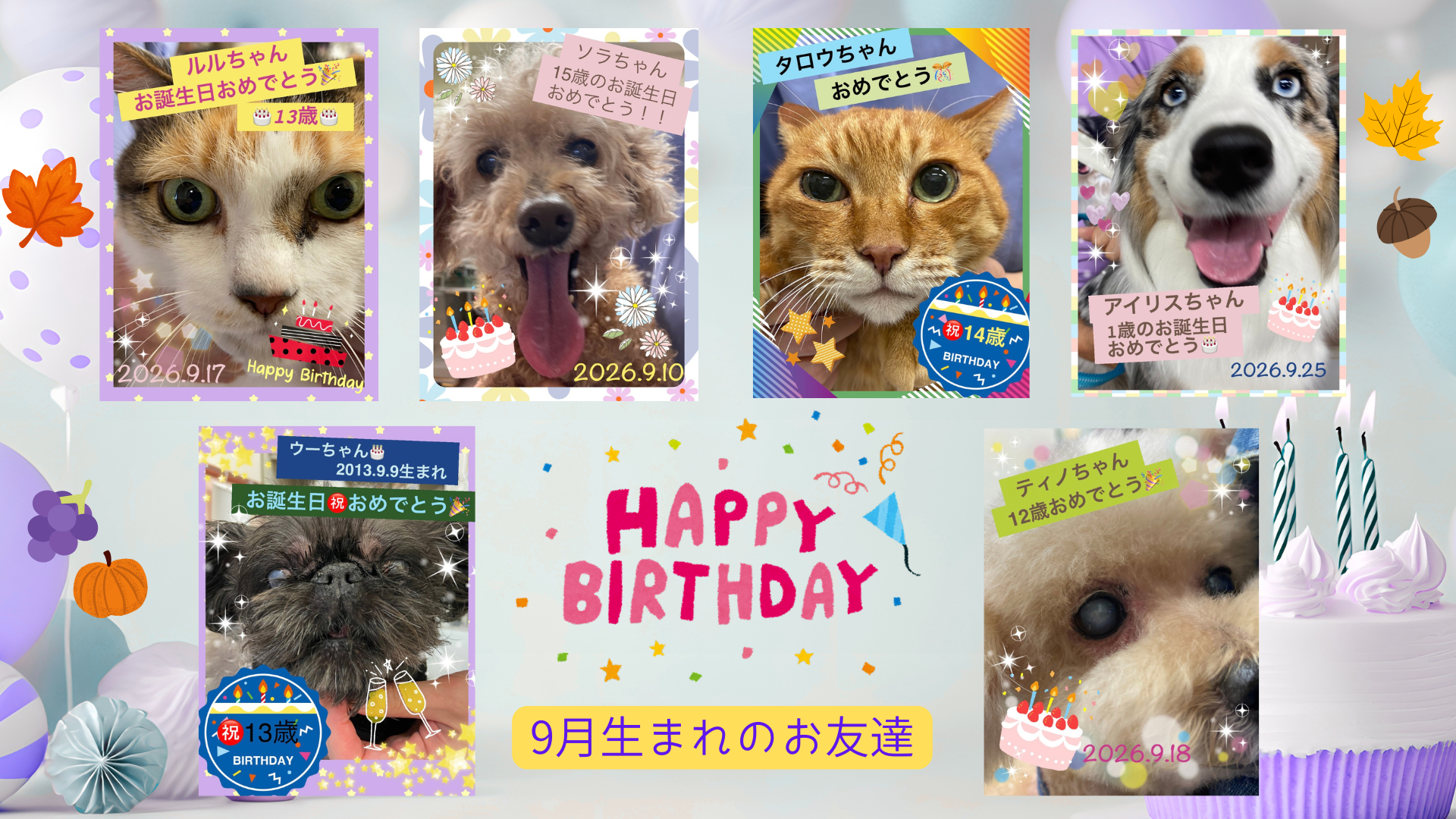 9月お誕生日のお友達