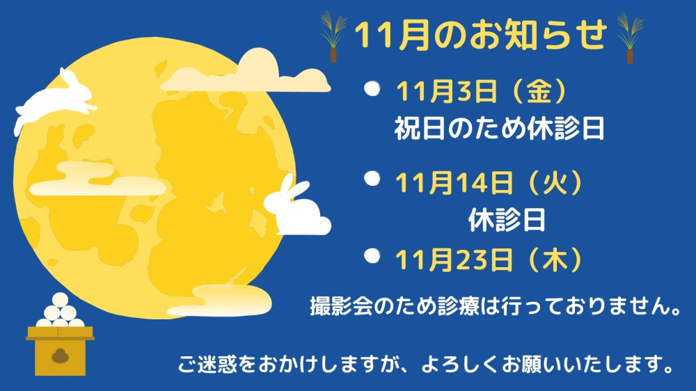 11月の休診と祝日診療について