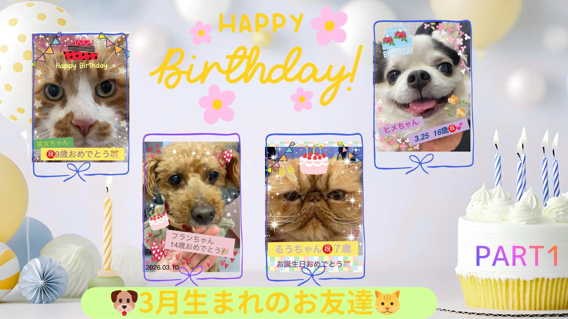 3月生まれのお友達 PART1