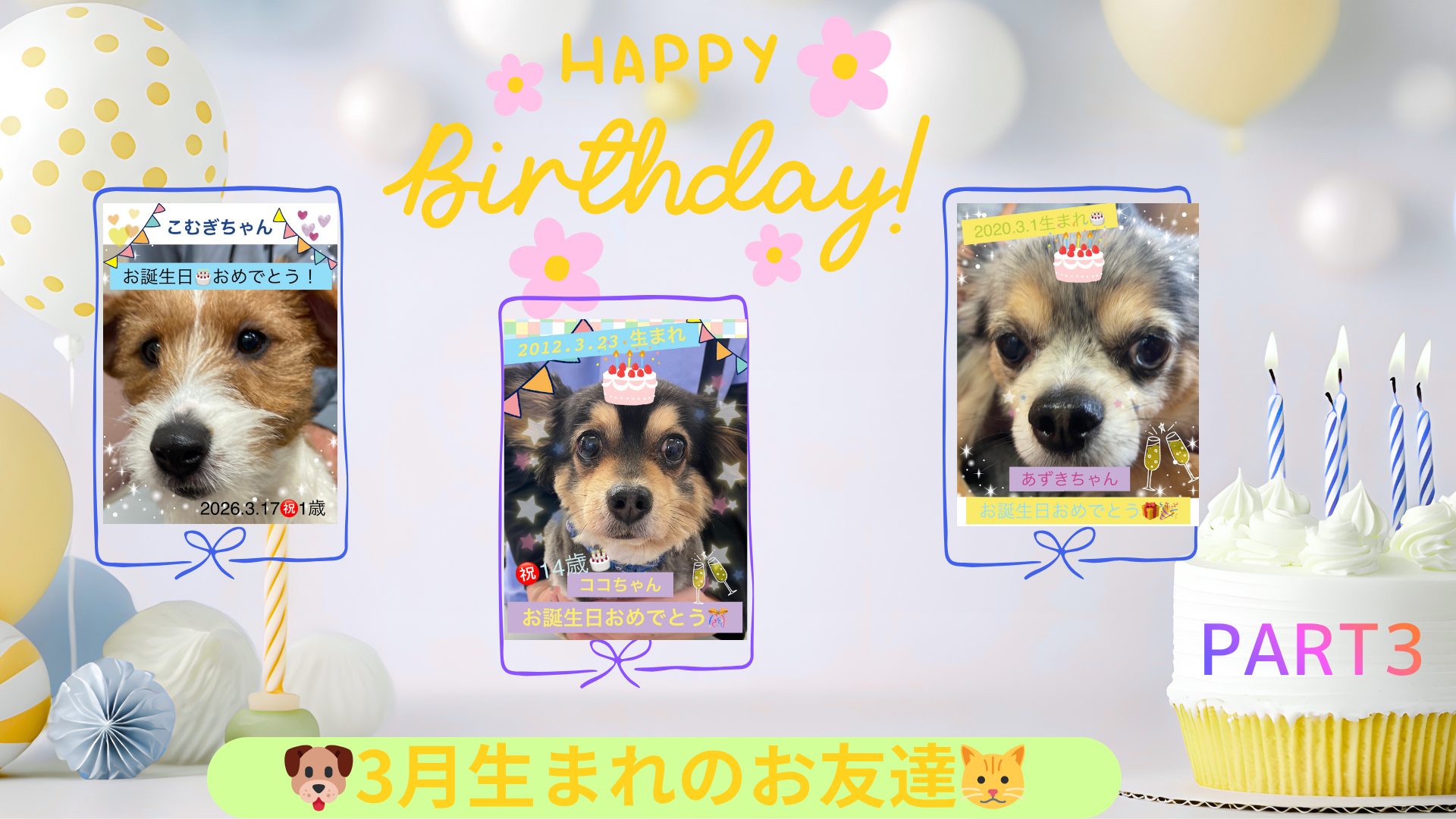 3月生まれのお友達 PART3