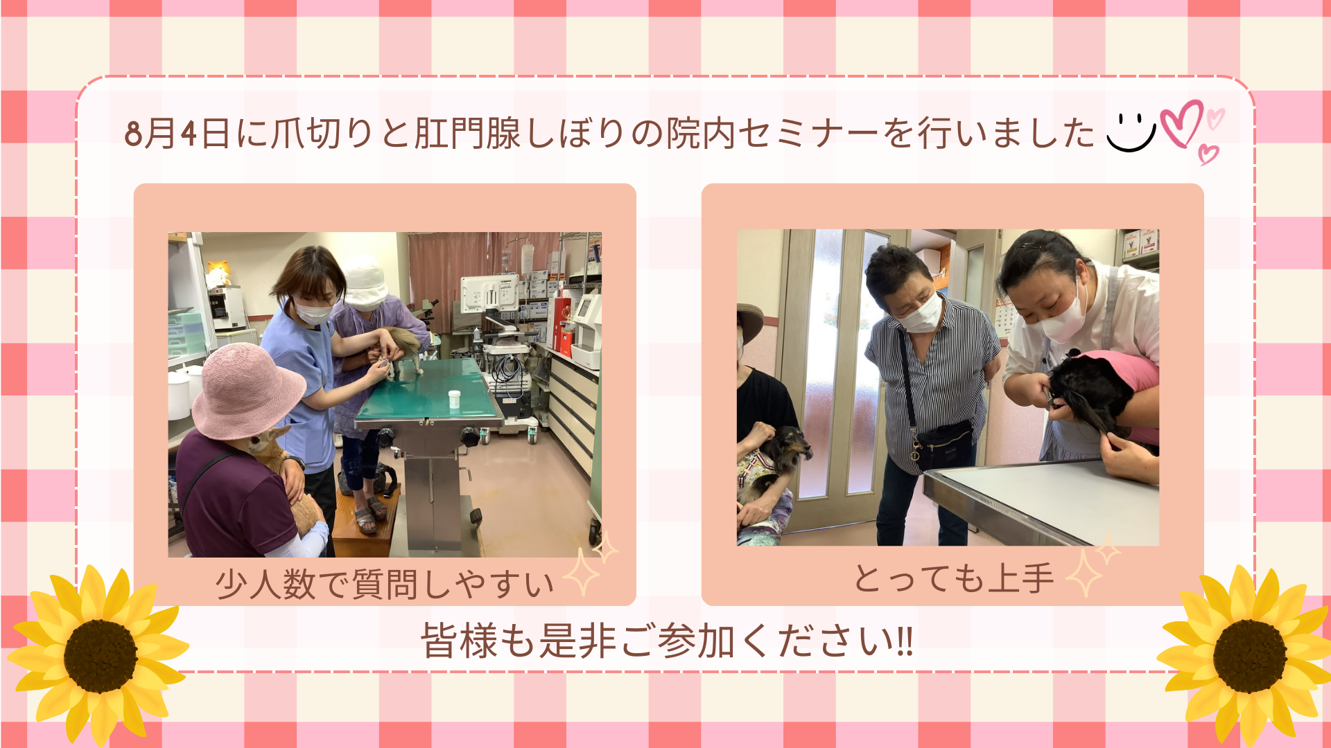 爪切りと肛門腺しぼりセミナーを開催しました