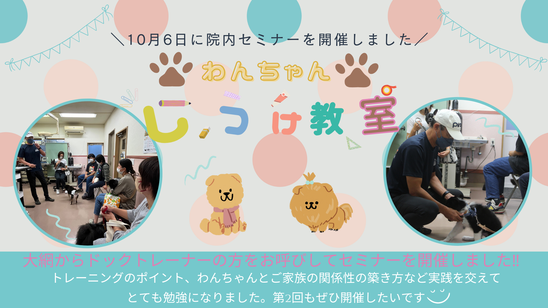 わんちゃんしつけ教室を開催しました