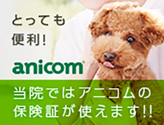 とっても便利！anicom®当院ではアニコムの保険証が使えます！！