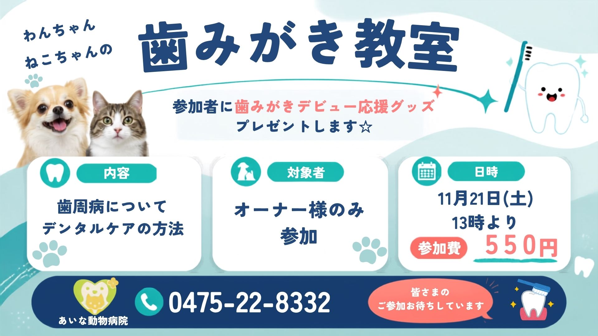 わんちゃんねこちゃんの歯みがき教室|11月21日(土)13時より・参加費550円