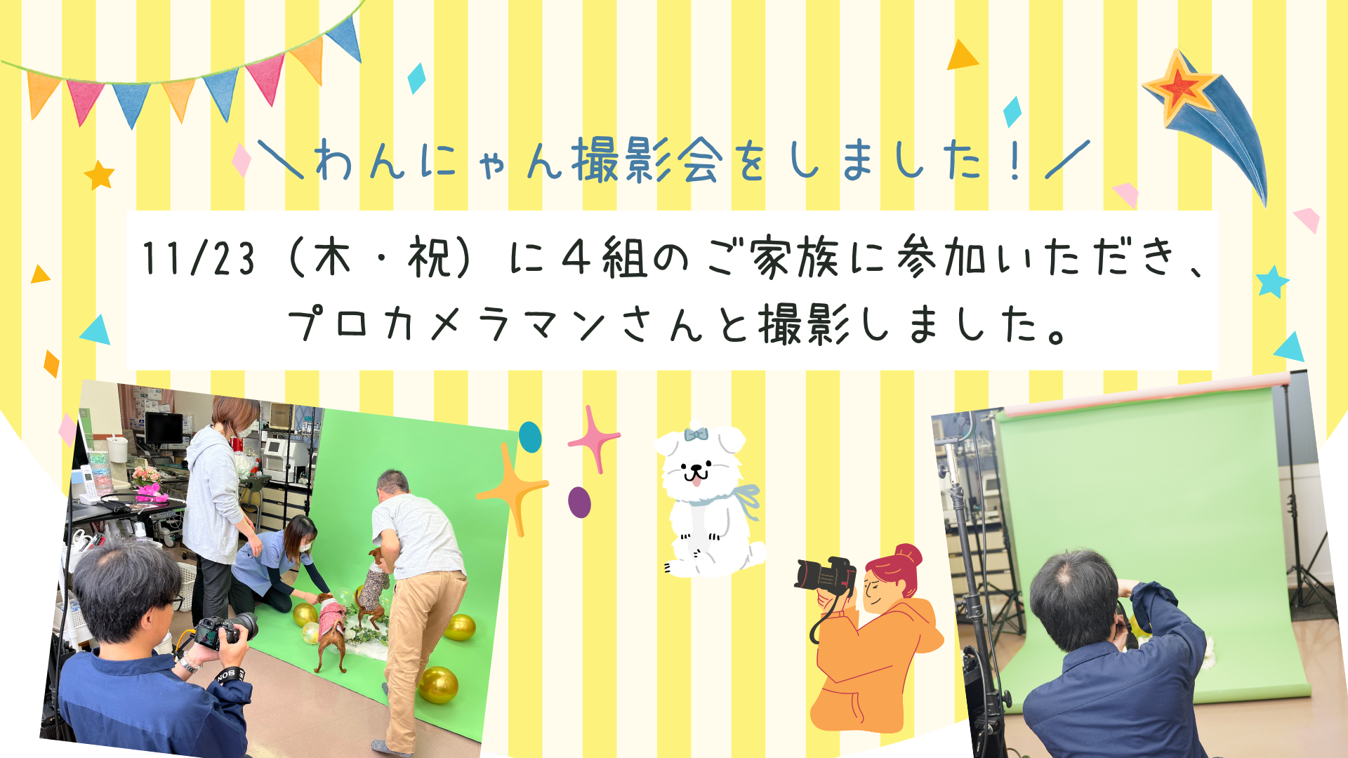 わんにゃん撮影会を開催しました