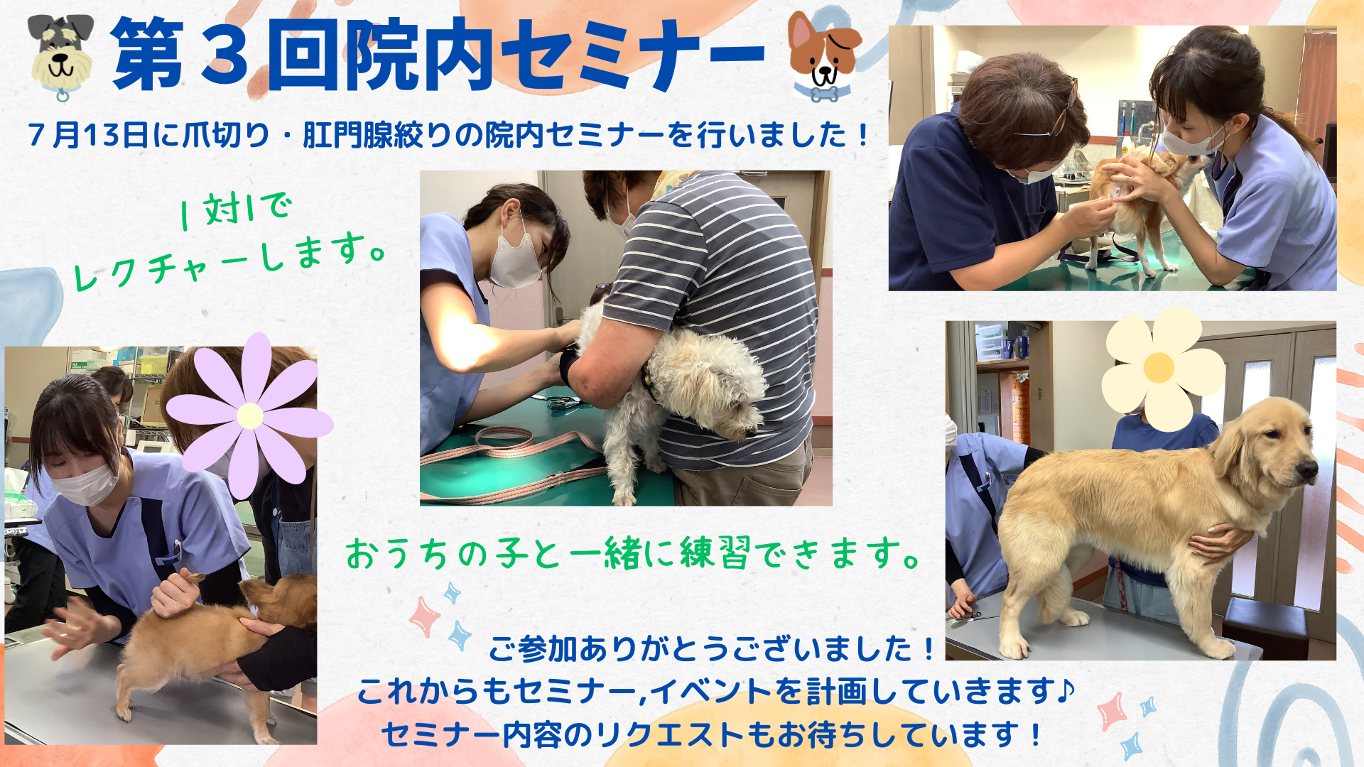 第3回院内セミナー（爪切り・肛門腺絞り）